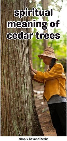 a woman leaning against a tree with the words, spirital meaning of cedar trees