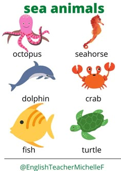 an image of sea animals and their names