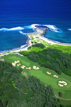 an aerial view of the golf course at turtle bay