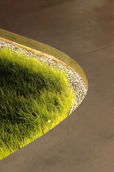 the grass is growing on the side of the concrete wall and around the fire hydrant