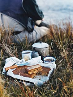 a piece of cake sitting on top of a bag in the grass next to water