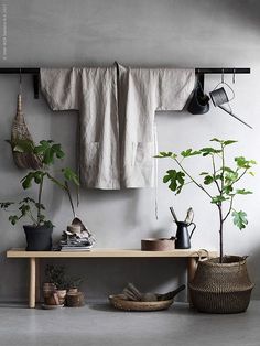 a shelf with potted plants on it next to a white wall and hanging clothes