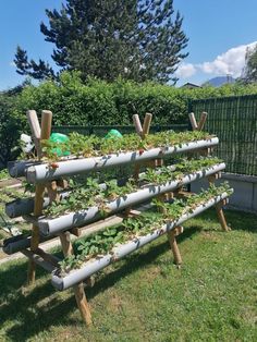 an outdoor garden with many plants growing on pipes