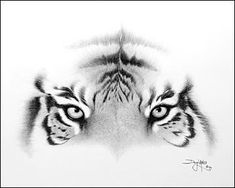 a black and white photo of a tiger's eyes