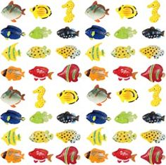 many different colored fish on a white background