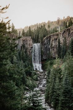 a waterfall surrounded by trees and rocks