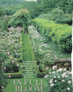 an image of a garden with flowers and shrubs in the foreground, text reads full bloom