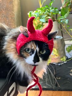 a cat wearing a red knitted hat with horns on it's head and ears