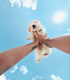 two dogs are being held up in the air by someone's hands with tattoos on their arms