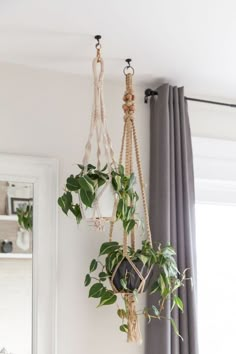 spring organization Pot Gantung, Plants Hanging, Brighter Bedroom, Bedroom Plants, Plant Decor Indoor, House Plants Decor, Macrame Plant Hangers