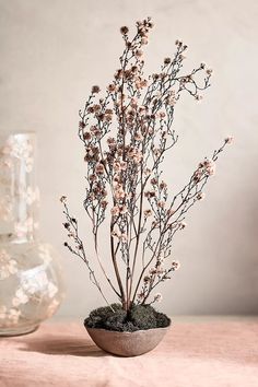 a small plant in a bowl on a table next to a glass vase with flowers