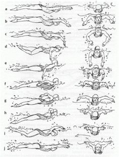 an image of swimmers swimming in the water with numbers on each side and different positions to