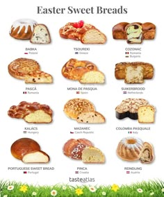 an image of different types of breads