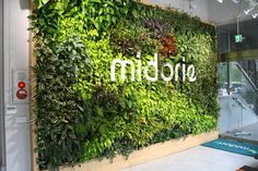 an office lobby with a green wall and the word mobb on it's side