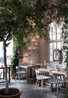 an indoor dining area with tables, chairs and potted plants on the wall behind them