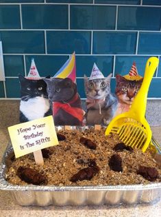 there are three cats sitting on top of a cake in the pan with decorations around it