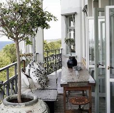 an outdoor patio with potted plants on the table