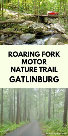 the road is surrounded by trees and rocks with text reading roaring fork motor nature trail gatlinburg