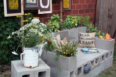 an outdoor bench made out of cinder blocks with plants growing in them and pictures on the wall