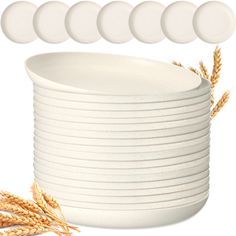 PRICES MAY VARY. Package Includes: what you will receive are 15 pieces of dinner plates, designed in beige color, sufficient quantity and elegant color can satisfy your daily use and replacement needs Reliable Material: our salad plates are made of quality wheat straw and PP material, not easy to deform or break, elegant in color and delicate in appearance; You can store them for your different parties use or house decoration use, suitable for long term use, bringing you comfortable using experi Cream Plates, Camping Plates, Microwave Plate, Wheat Straw, Plastic Plates, Dinner Dishes, Fruit Desserts, Fruit Cake, Salad Plates