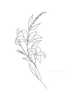 a black and white drawing of some flowers