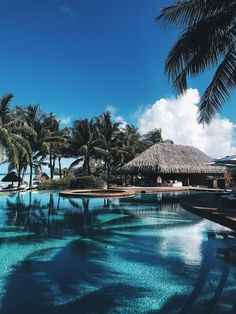 an outdoor swimming pool surrounded by palm trees and blue water with thatched huts in the background