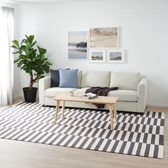 a living room with a couch, coffee table and potted plant in the corner