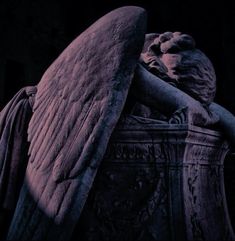 an angel statue with its wings folded over it's head and body in the dark