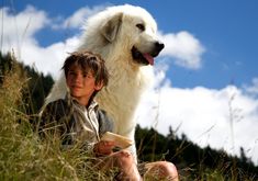 a young boy sitting next to a large white dog with the caption desplaces a gagner