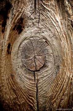 the wood has been cut in half and is very old