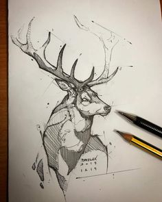 a pencil drawing of a deer with antlers on it