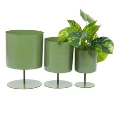 three green vases with plants in them