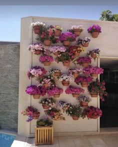 several potted flowers are arranged on a wall next to a swimming pool in a backyard