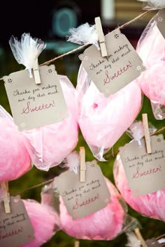 pink and white flowers with tags attached to them