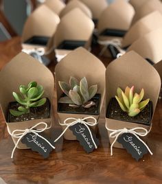 small succulents are placed in brown paper bags on a table with tags