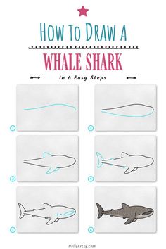 how to draw a hammerhead shark in 6 easy steps step by step instructions for beginners