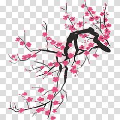 a branch with pink flowers on it in the shape of a heart, transparent background png