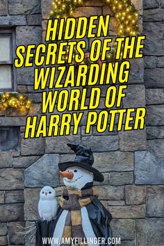 an image of a snowman and two owls in front of a brick wall with the words hidden secrets of the wizarding world of harry potter