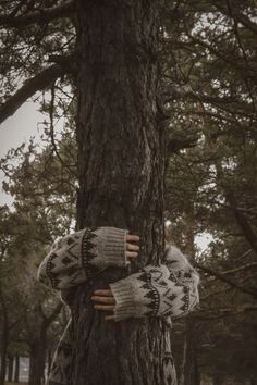 a person hugging a tree with their hands on the trunk and wearing knitted mittens