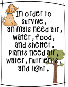 an animal saying in order to survive animals need air, water, food, and other plants