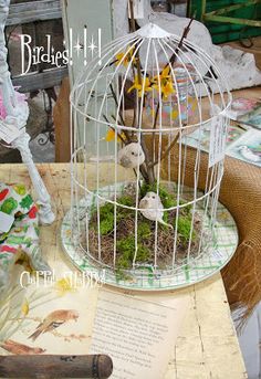 a birdcage filled with moss and flowers on top of a table next to an open book