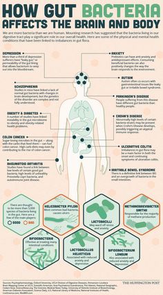 What The Bacteria In Your Gut Have To Do With Your Physical And Mental Health Gut Healing Diet, Healing Diet, Gut Flora, Coconut Health Benefits, Stomach Ulcers, Natural Antibiotics, Seasonal Allergies, Gut Bacteria, Gut Healing