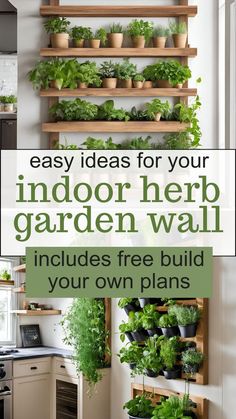 an indoor herb garden wall with potted plants on it and the words, easy ideas for