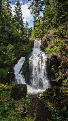 a small waterfall in the middle of a forest