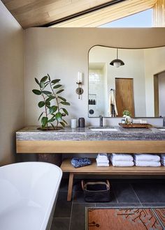 a bathroom with a sink, mirror and bathtub next to a plant in the corner