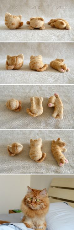 an orange cat sitting on top of a bed next to several pictures of cats laying on the floor