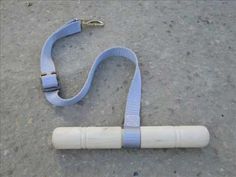 a blue leash that is laying on the ground with a white object attached to it