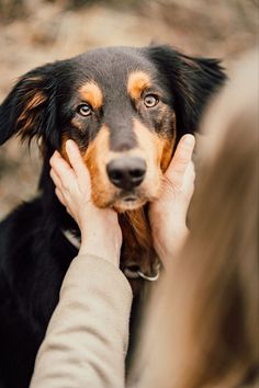 a woman petting a black and brown dog's face while another person holds it up