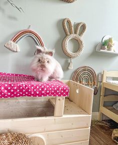 a cat sitting on top of a wooden bed in a room with toys and decorations