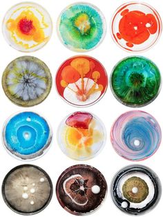 nine different colored glass plates with designs on them, each containing an individual's own flower